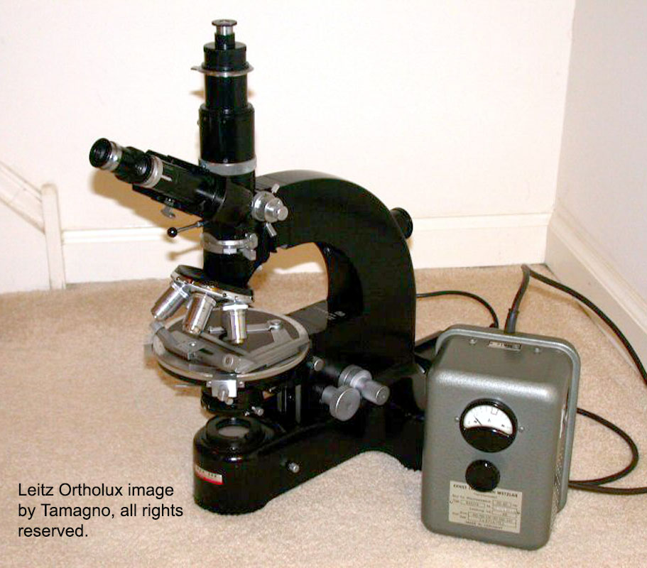 ernst leitz wetzlar microscope